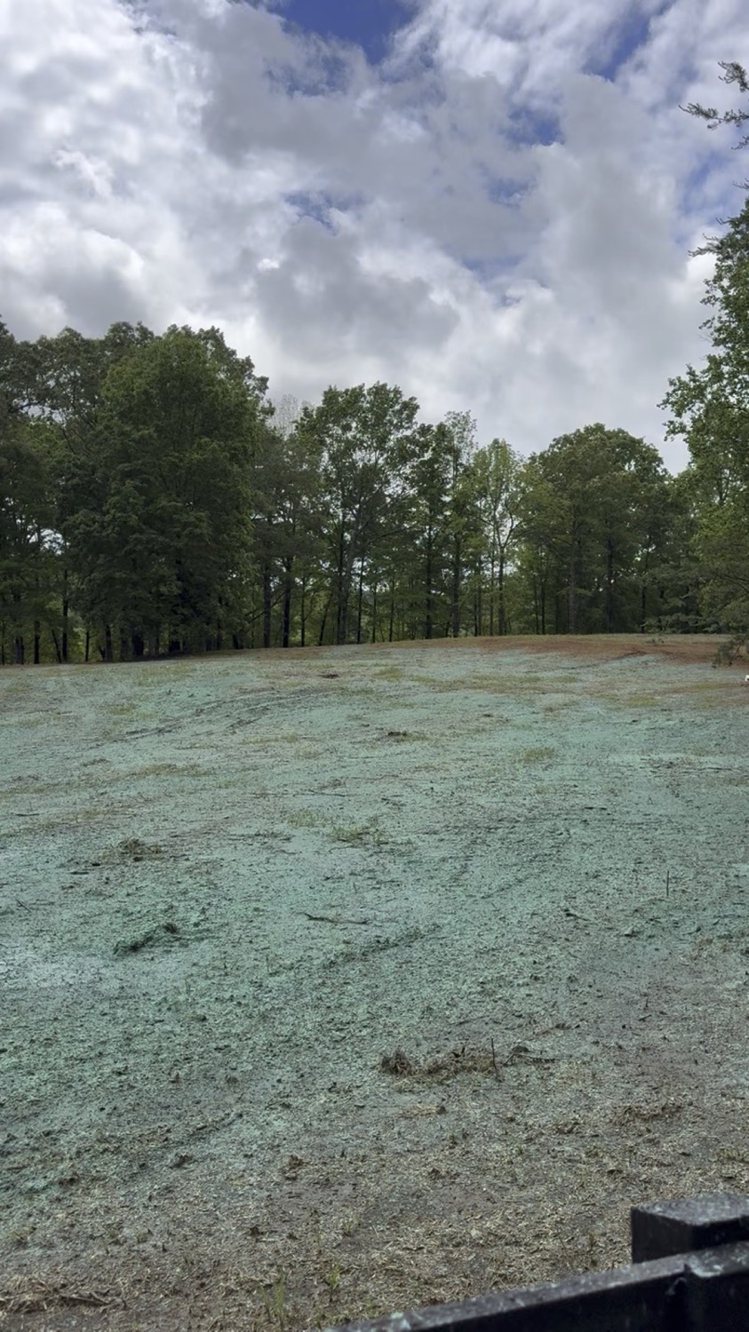 Freshly hydroseeded field with uniform green vegetative cover
