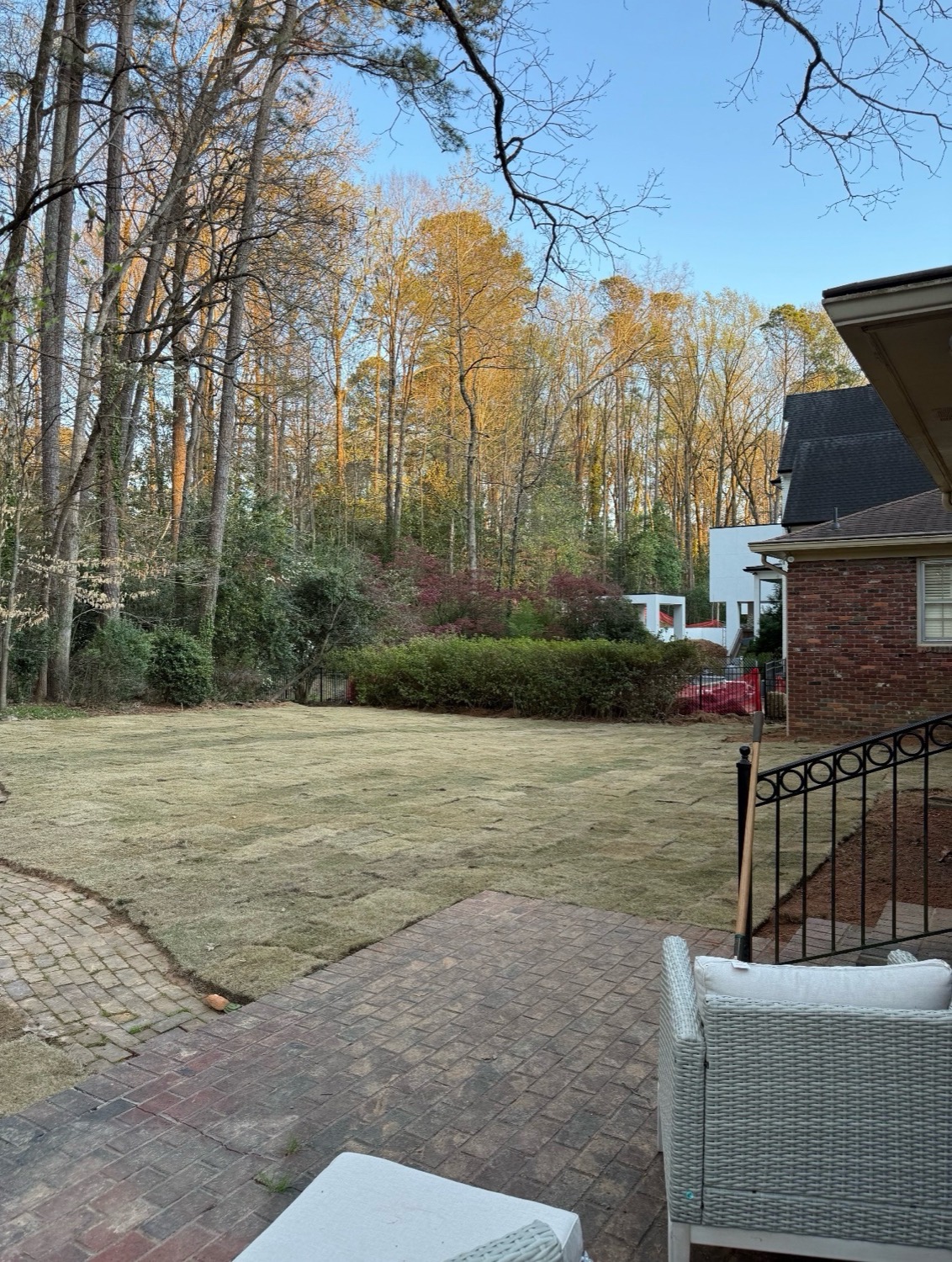 Freshly laid sod lawn in a graded, finished residential backyard